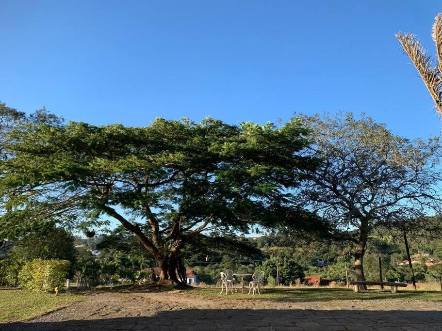 Quarto Dos Vinhos Villa São Roque Exteriör bild